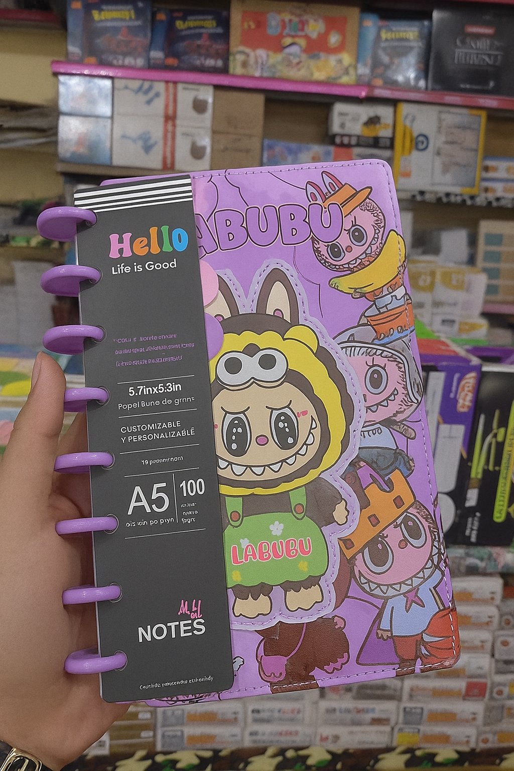 LABUBU Cute Character Spiral Diary – Pink Kawaii Daily Planner Notebook